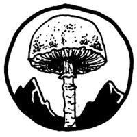 46th Telluride Mushroom Festival