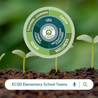 School Team 1 - Feb 2026