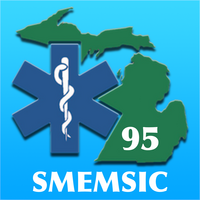 SMEMSIC95